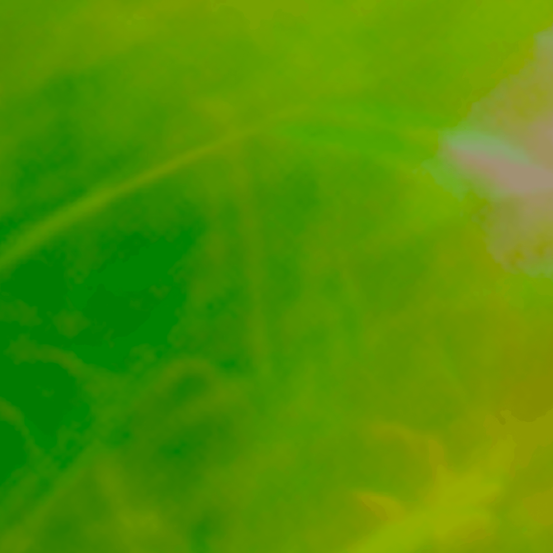 Abstract green cover image for Update on the People-First AI Fund.