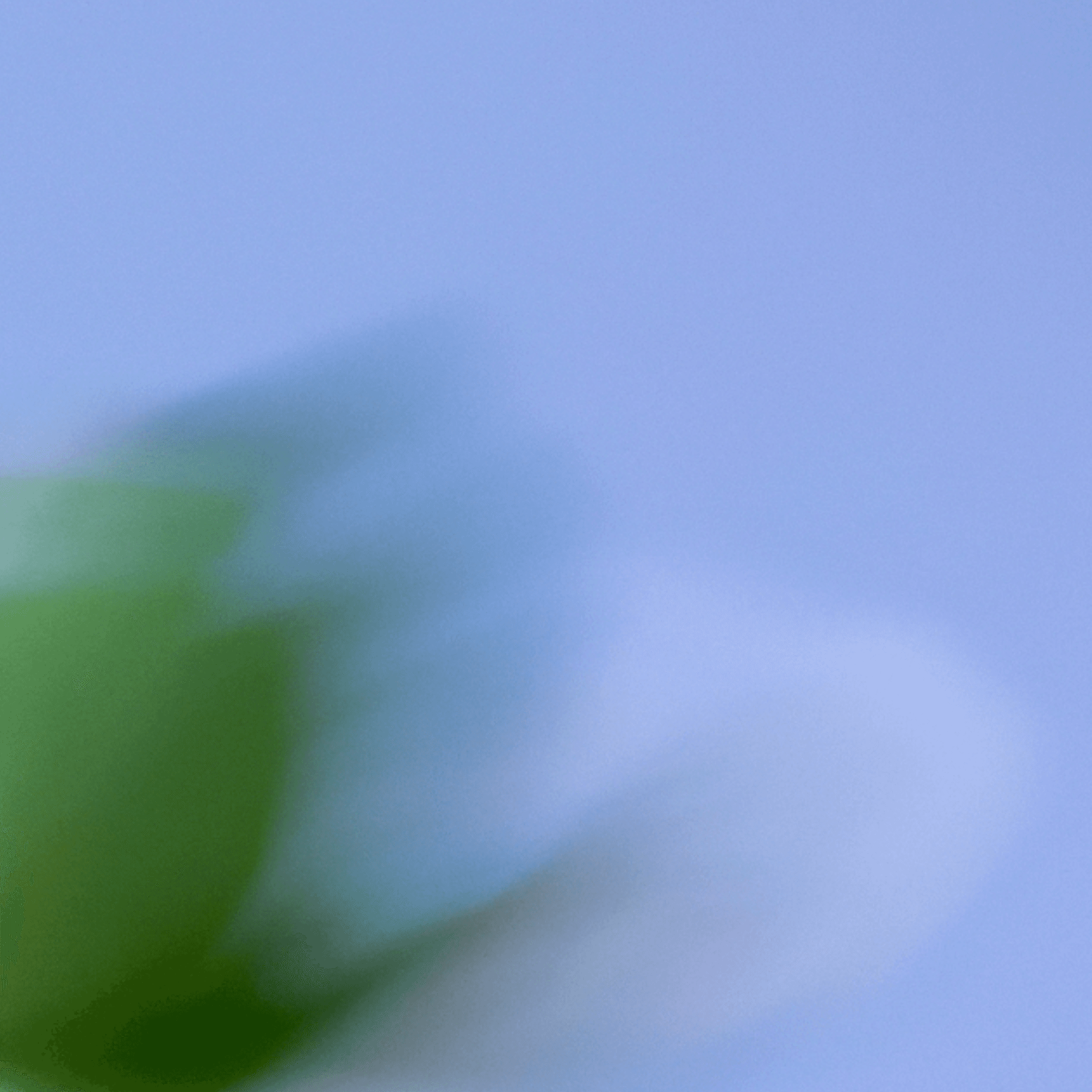 Abstract green and blue cover image for David Vélez and Robin Vince joining OpenAI’s boards.